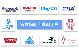 臺州飛速網絡 一站式網站建設、淘寶代運營與優化服務專家